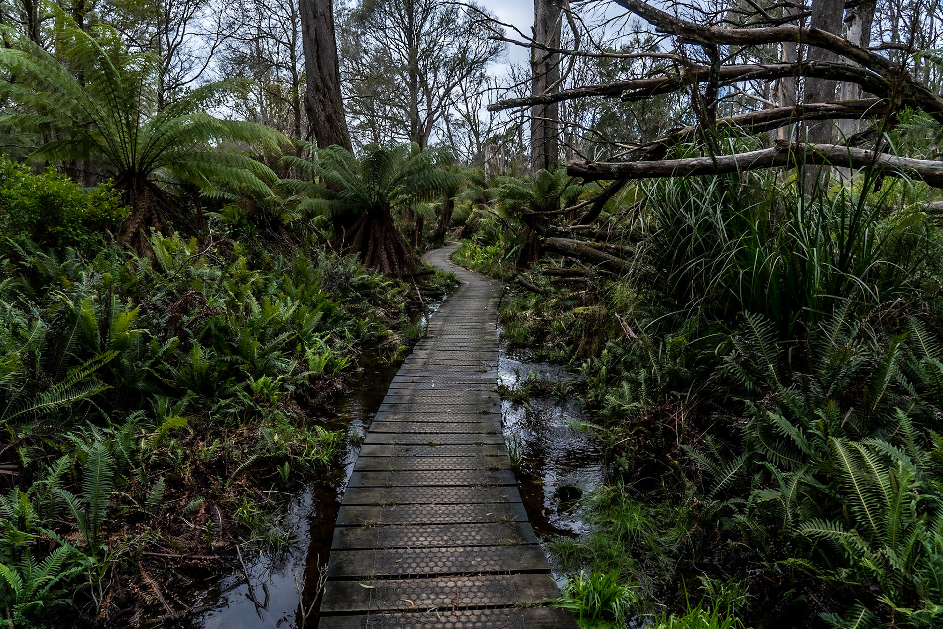 Wilsons-Promontory-Nationalpark