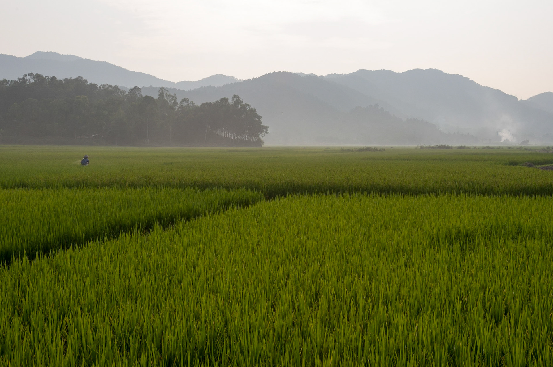 Countryside