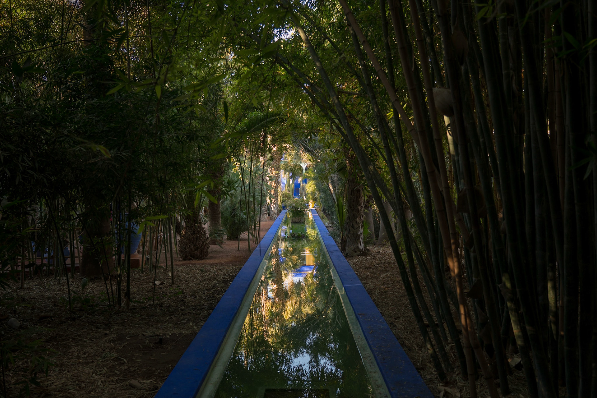 Jardin Majorelle - Marrakech