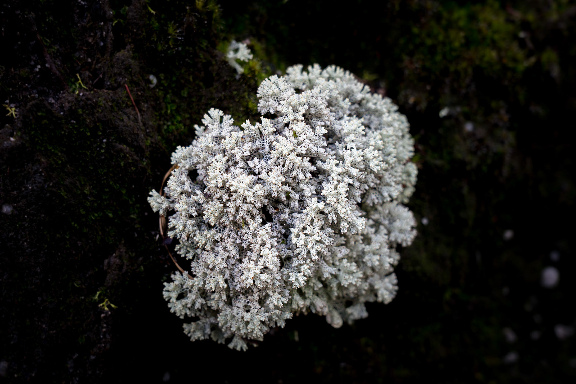Wilsons-Promontory-Nationalpark