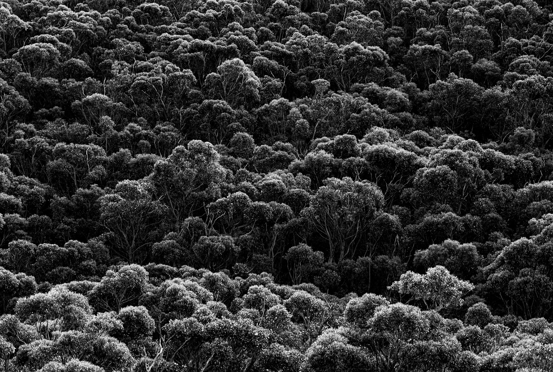 Wilsons-Promontory-Nationalpark