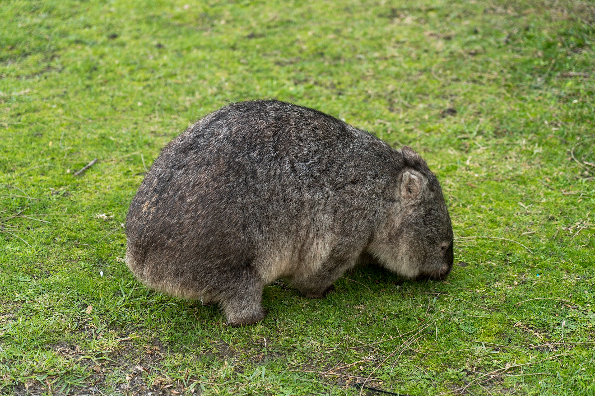 Wilsons-Promontory-Nationalpark