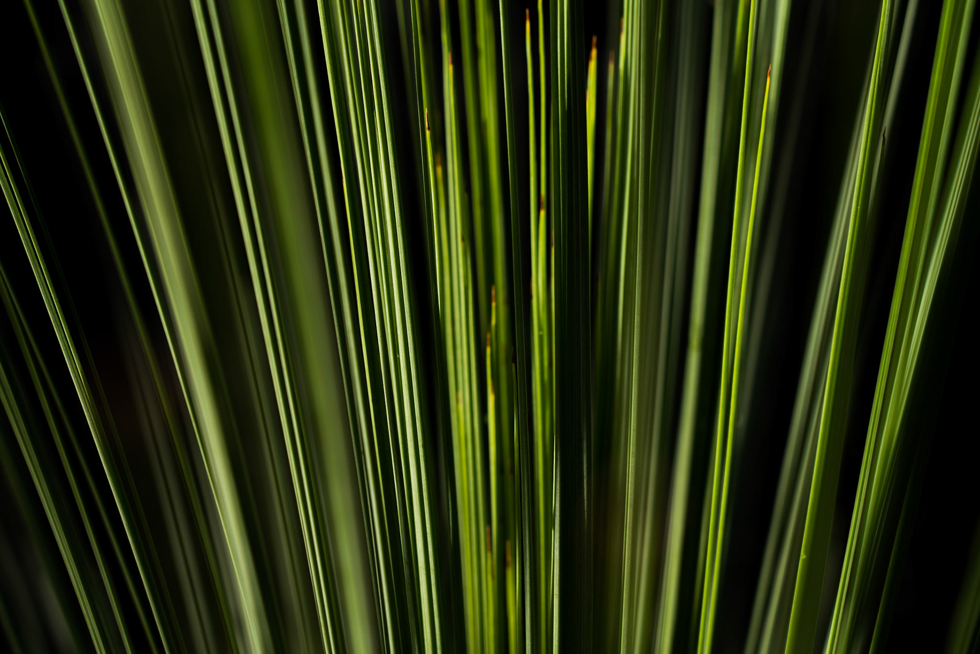 Wilsons-Promontory-Nationalpark