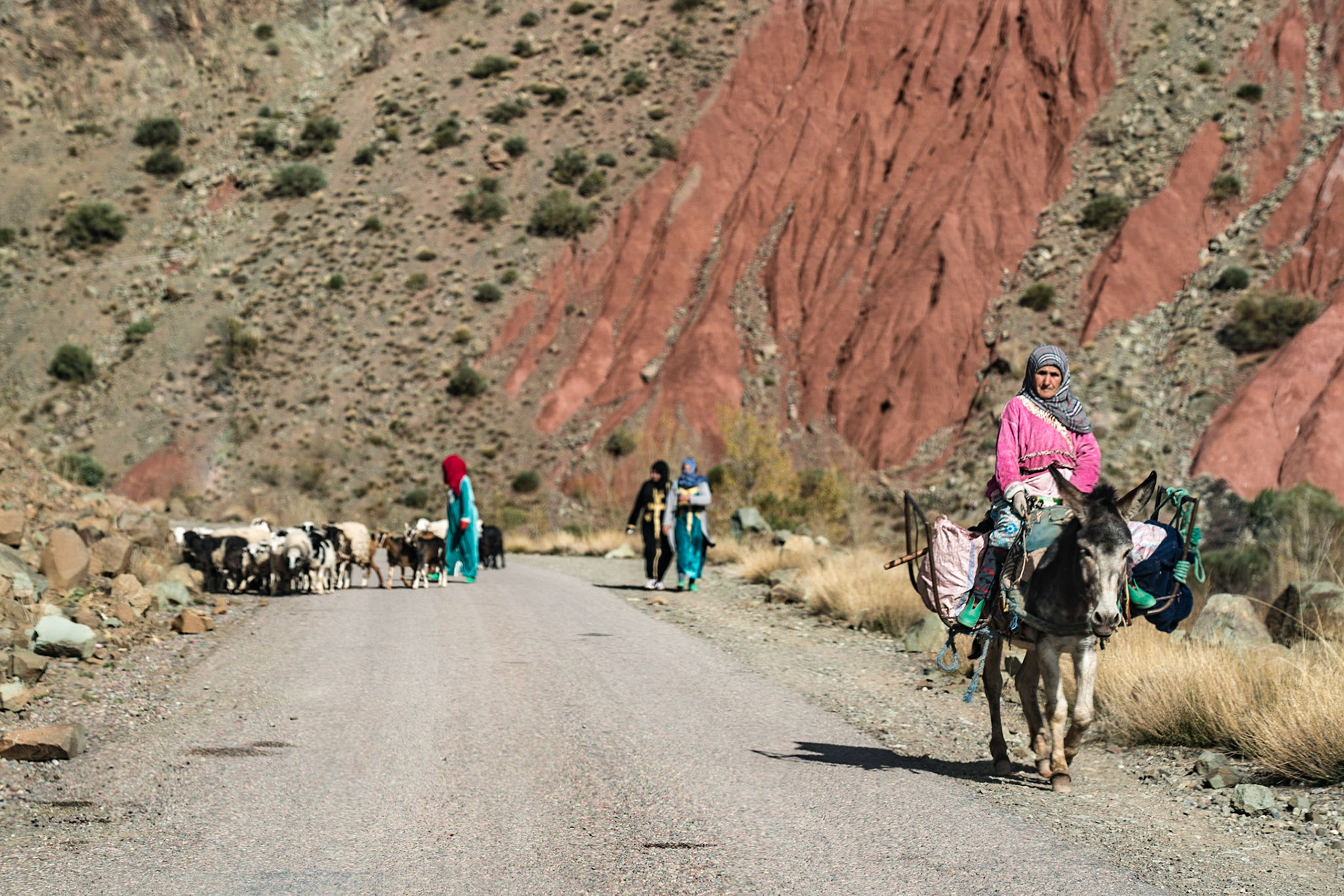 Central High Atlas - Rue 307