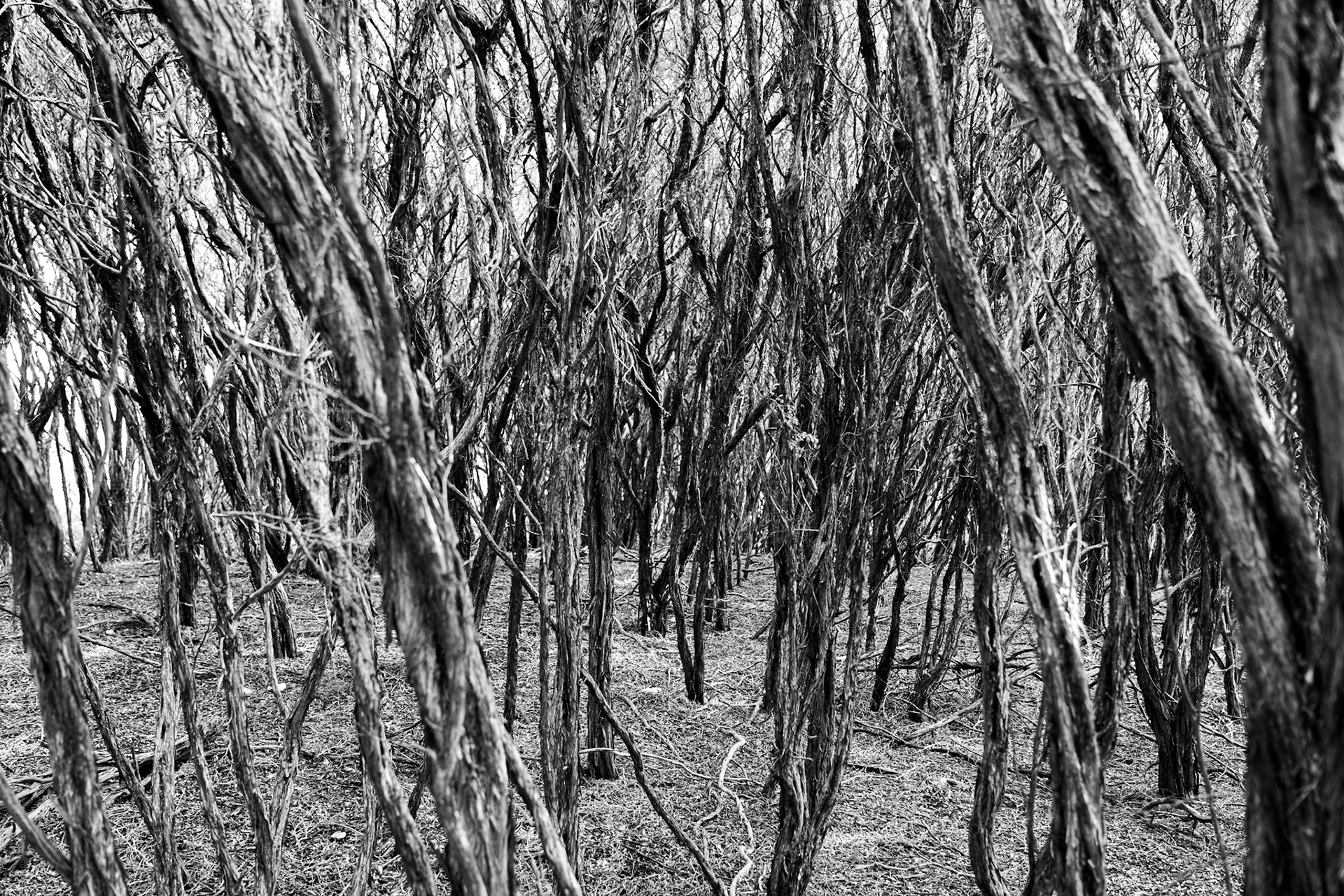 Wilsons-Promontory-Nationalpark