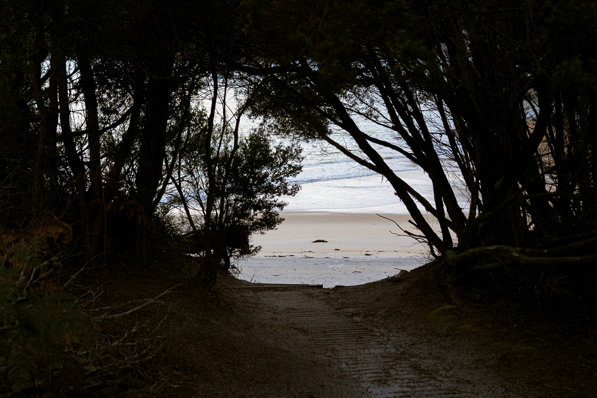 Wilsons-Promontory-Nationalpark - Sealers Cove