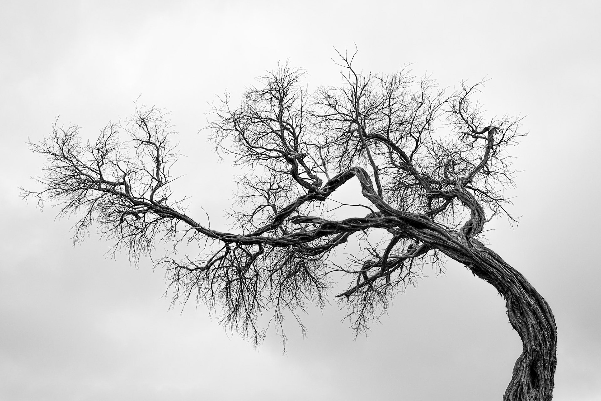 Wilsons-Promontory-Nationalpark