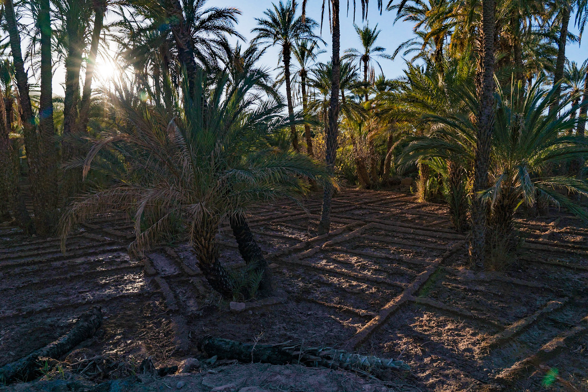 Around Kasbate Tamounalt