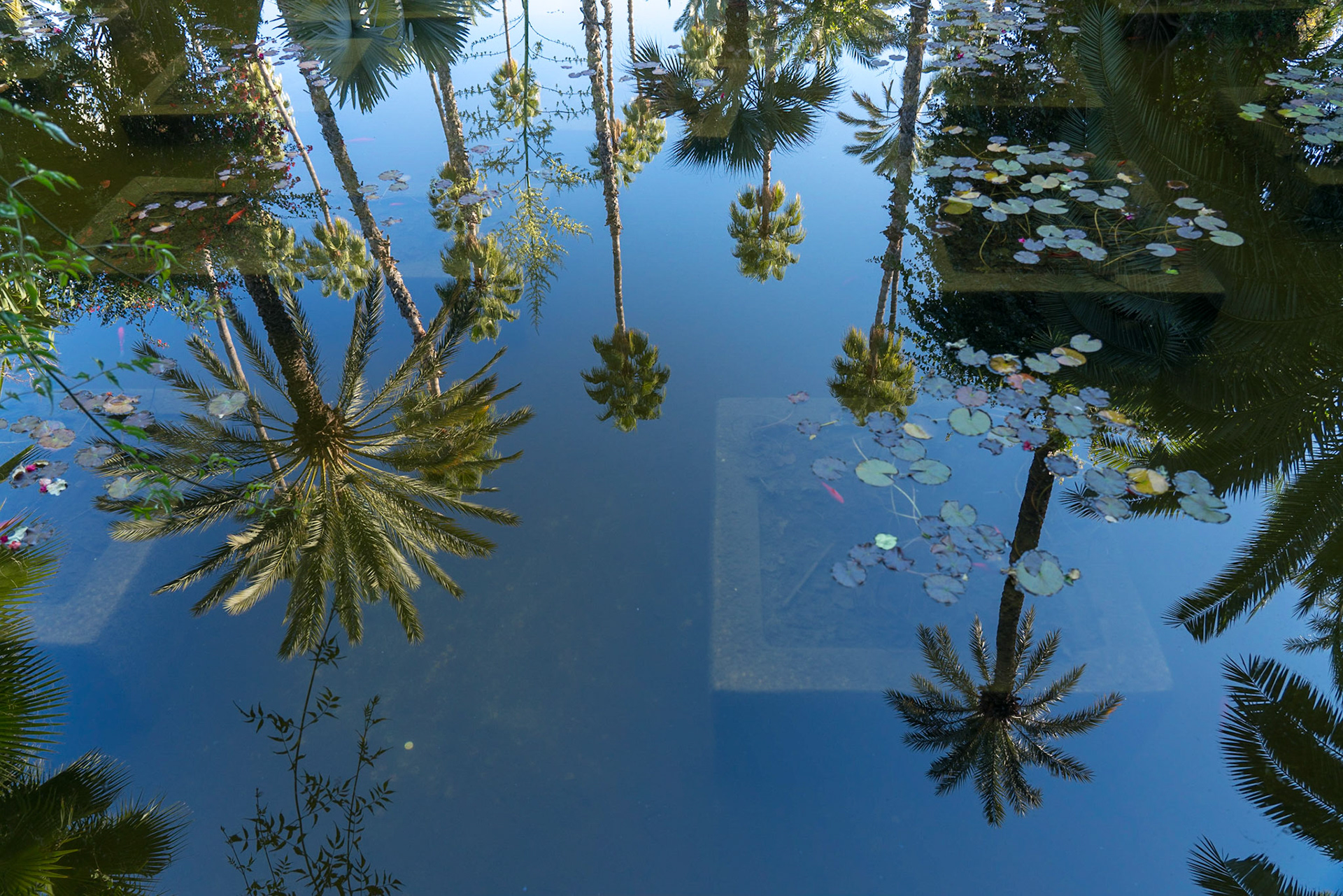 Jardin Majorelle - Marrakech