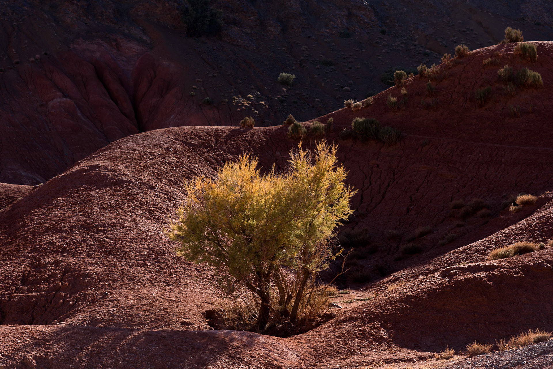 Salt Mines near Anmiter