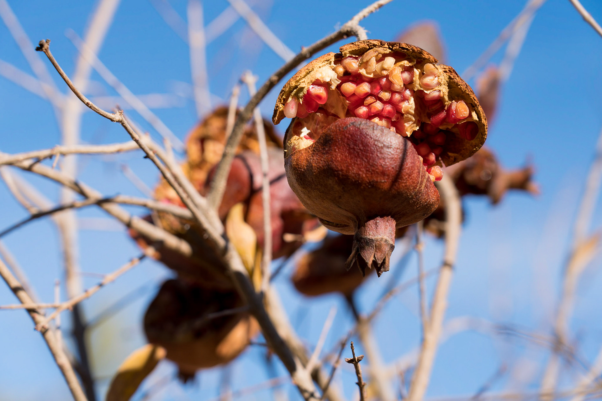 Around Kasbate Tamounalt