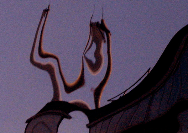 loss of perspective 7