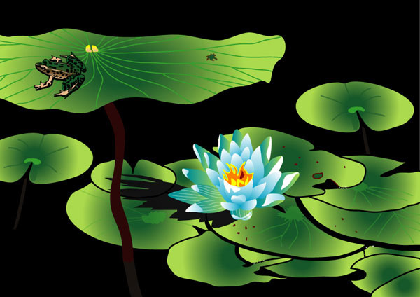 lilly pad