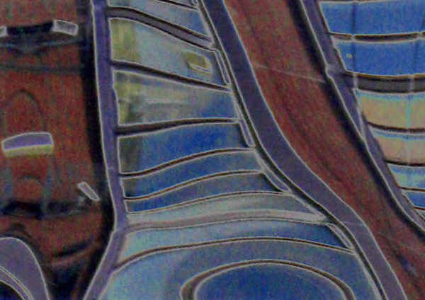 loss of perspective 9