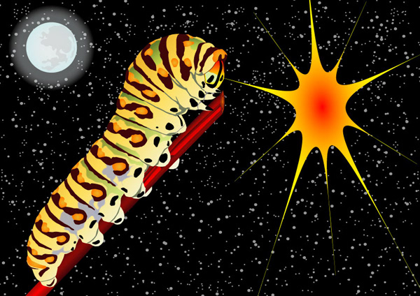 caterpillar