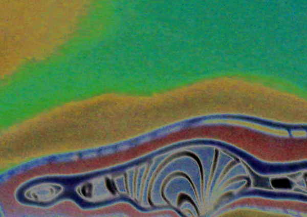 loss of perspective 12