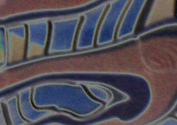 loss of perspective 11