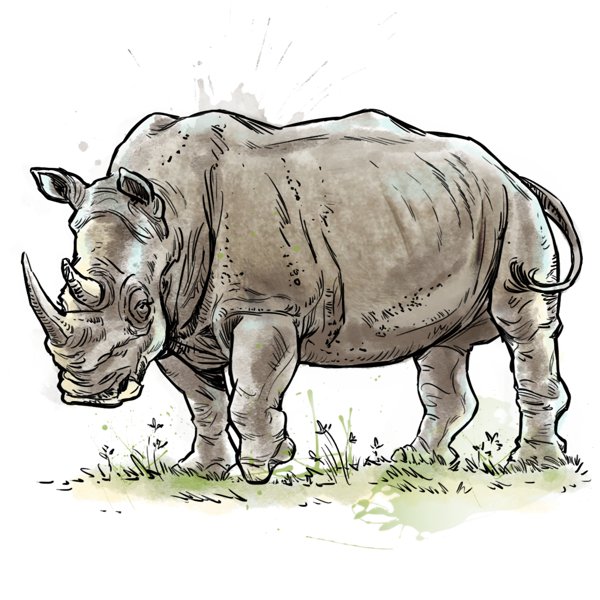 San Diego Zoo | Home Brew Agency | 2022