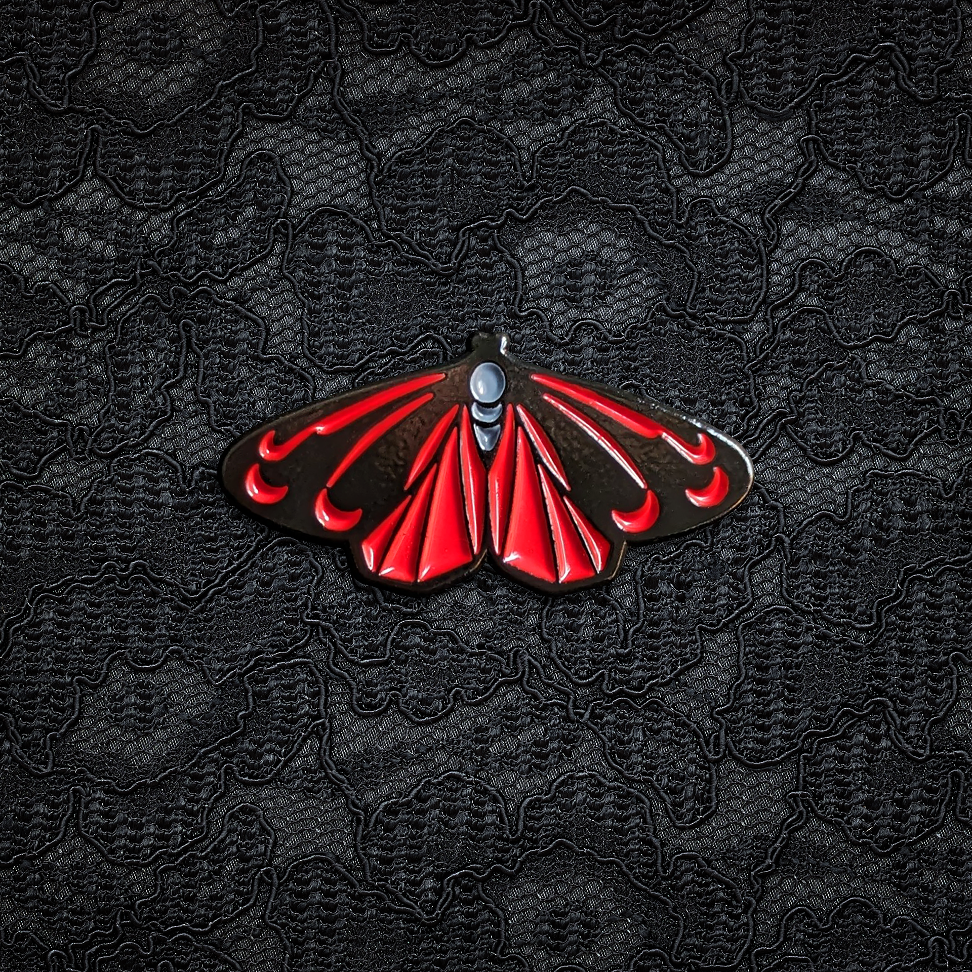 Cinnabar Moth © Elizabeth Masters 2019