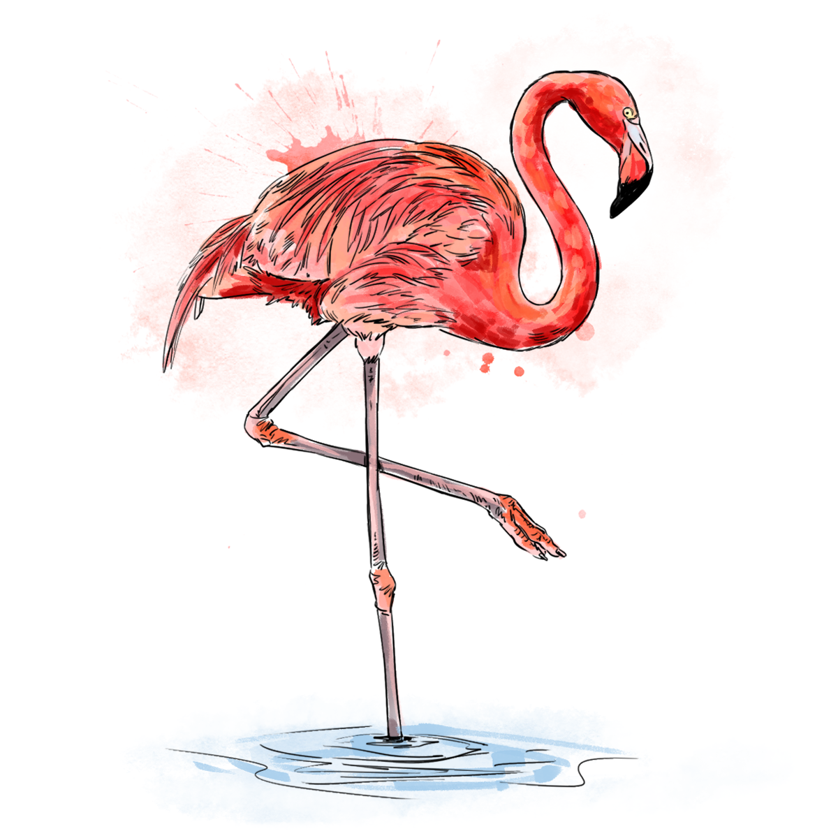 San Diego Zoo | Home Brew Agency | 2022
