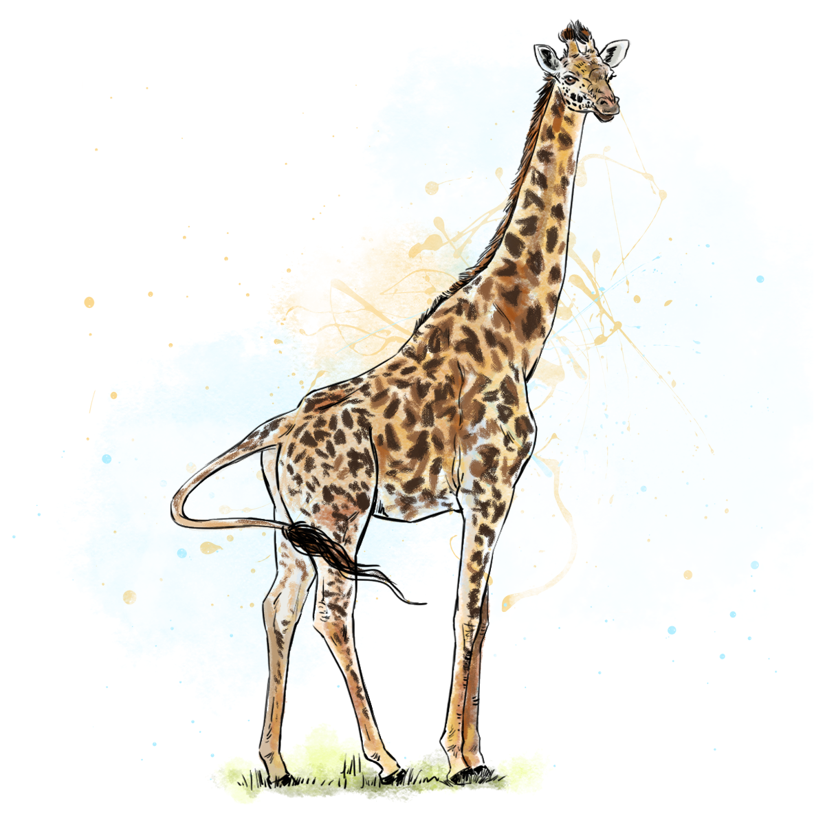 San Diego Zoo | Home Brew Agency | 2022