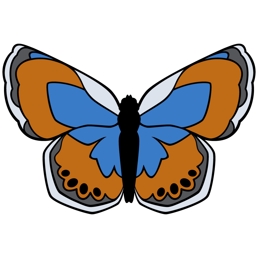 Vector Illustration