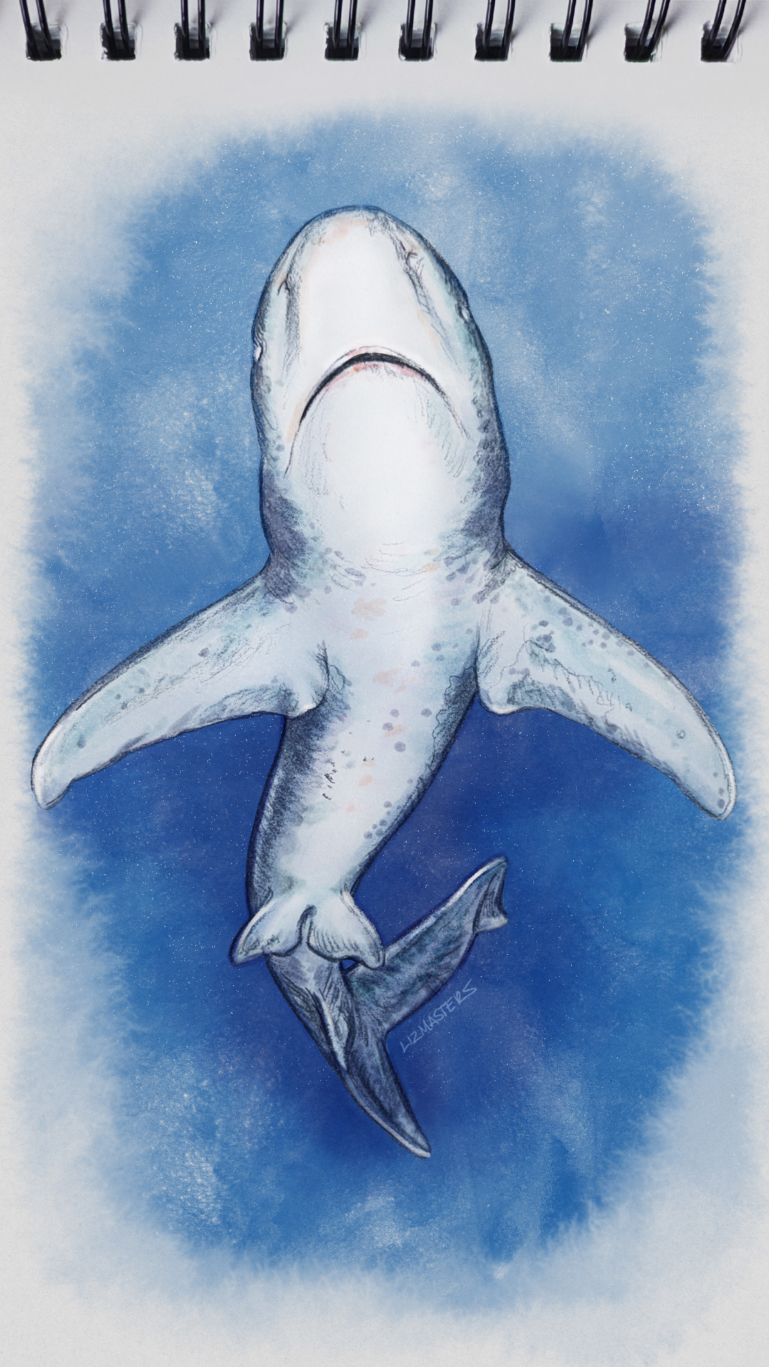 Digital color wash
