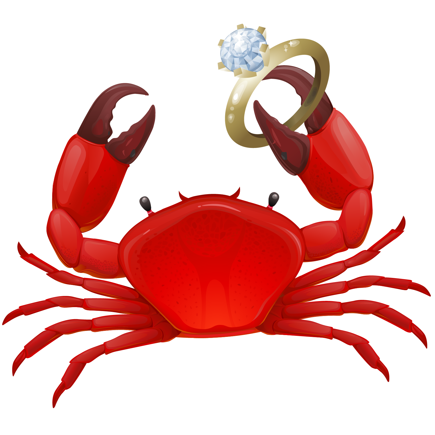 ABC | Home Brew Agency 2022