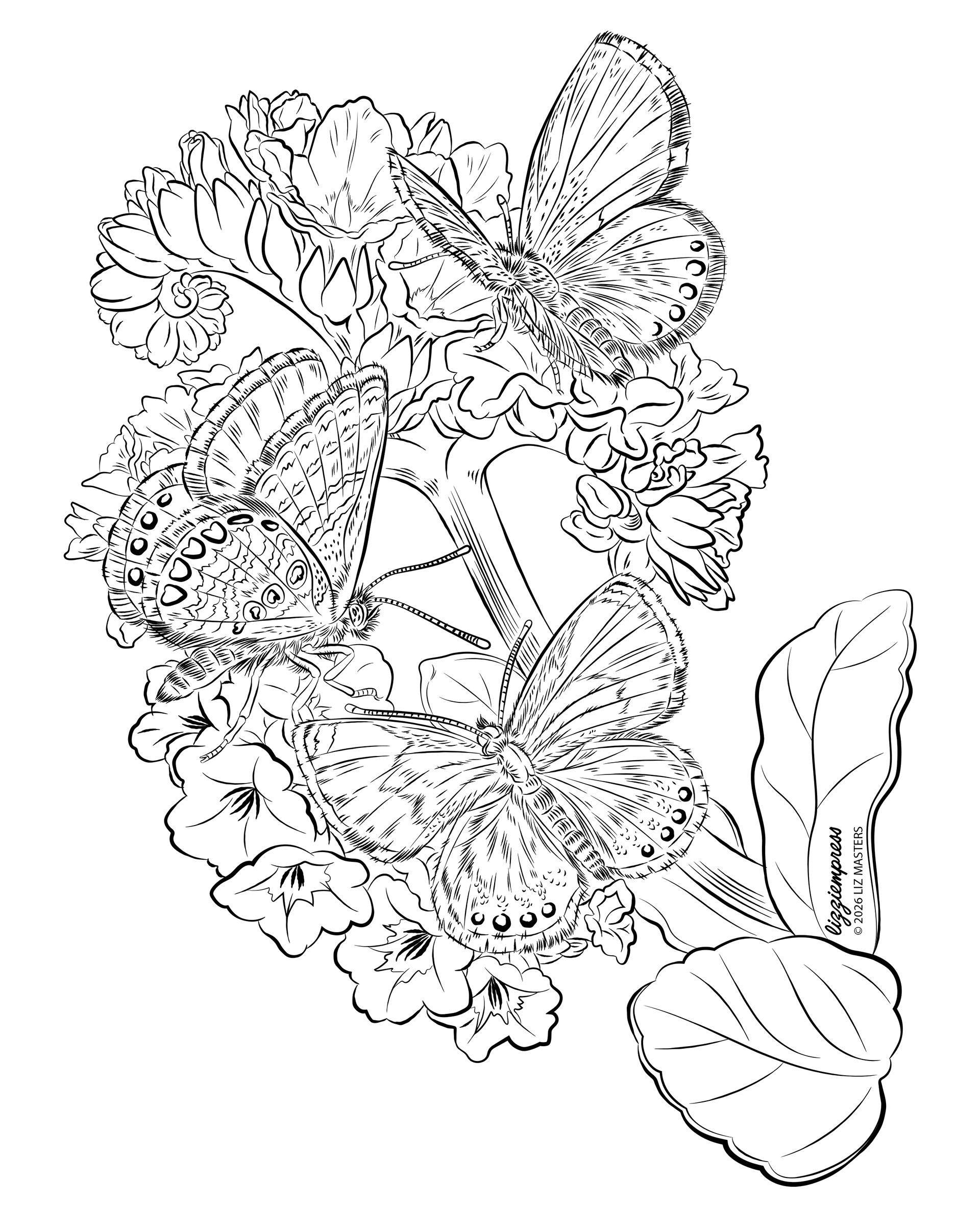 Vector Illustration
