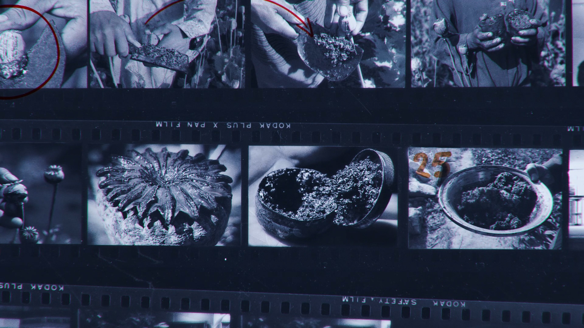 TRAFICS // ARTWORK