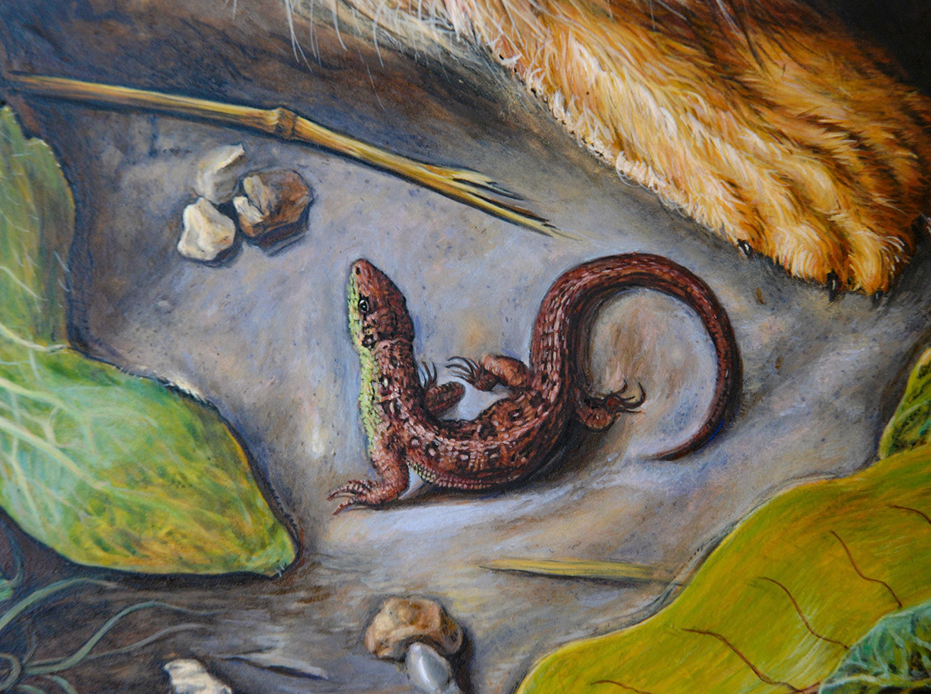 Detail of Sand Lizard