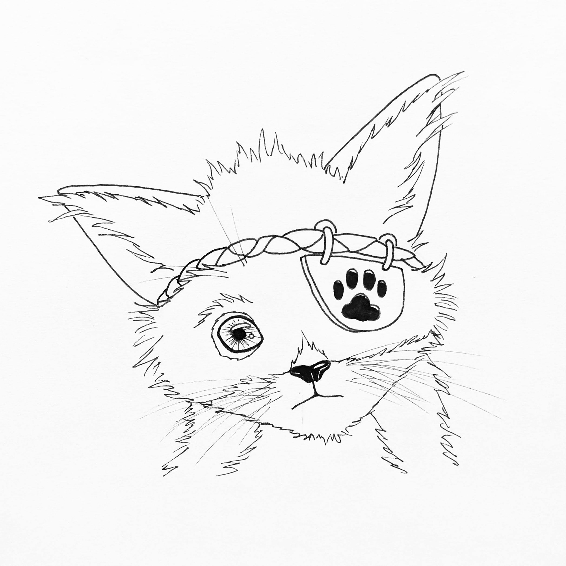 Eye Patch Kitty