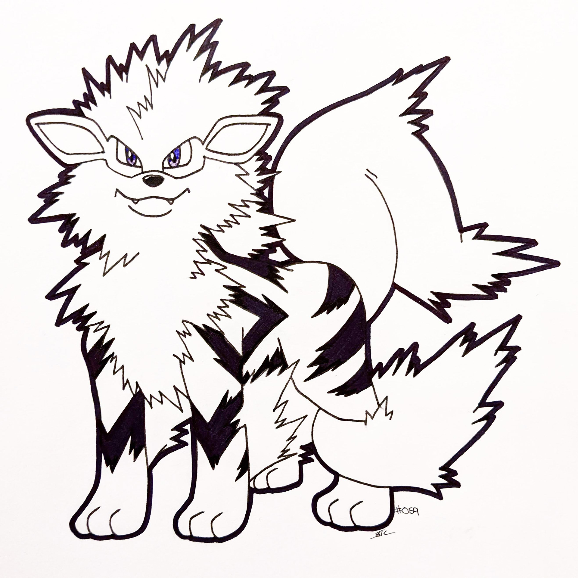 Pokemon Study : Arcanine