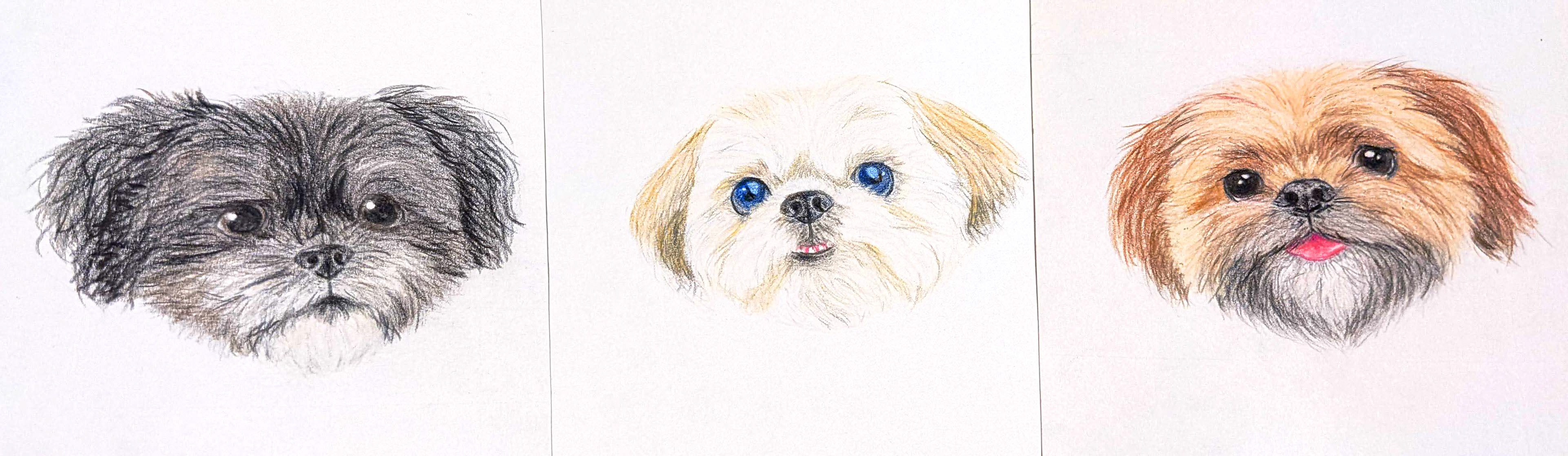 Enzo, Lexi, and Cooper in Colored Pencil