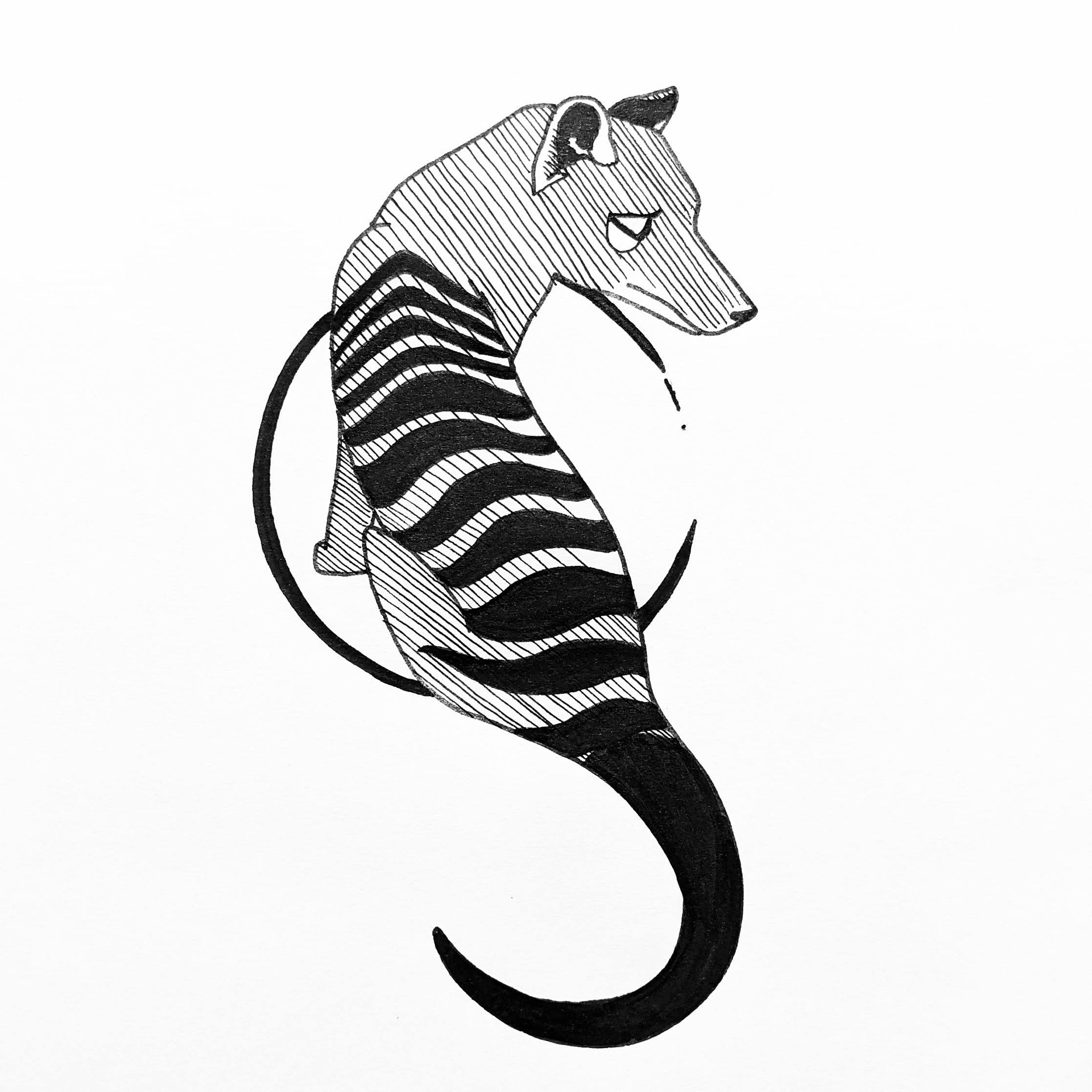Thylacine