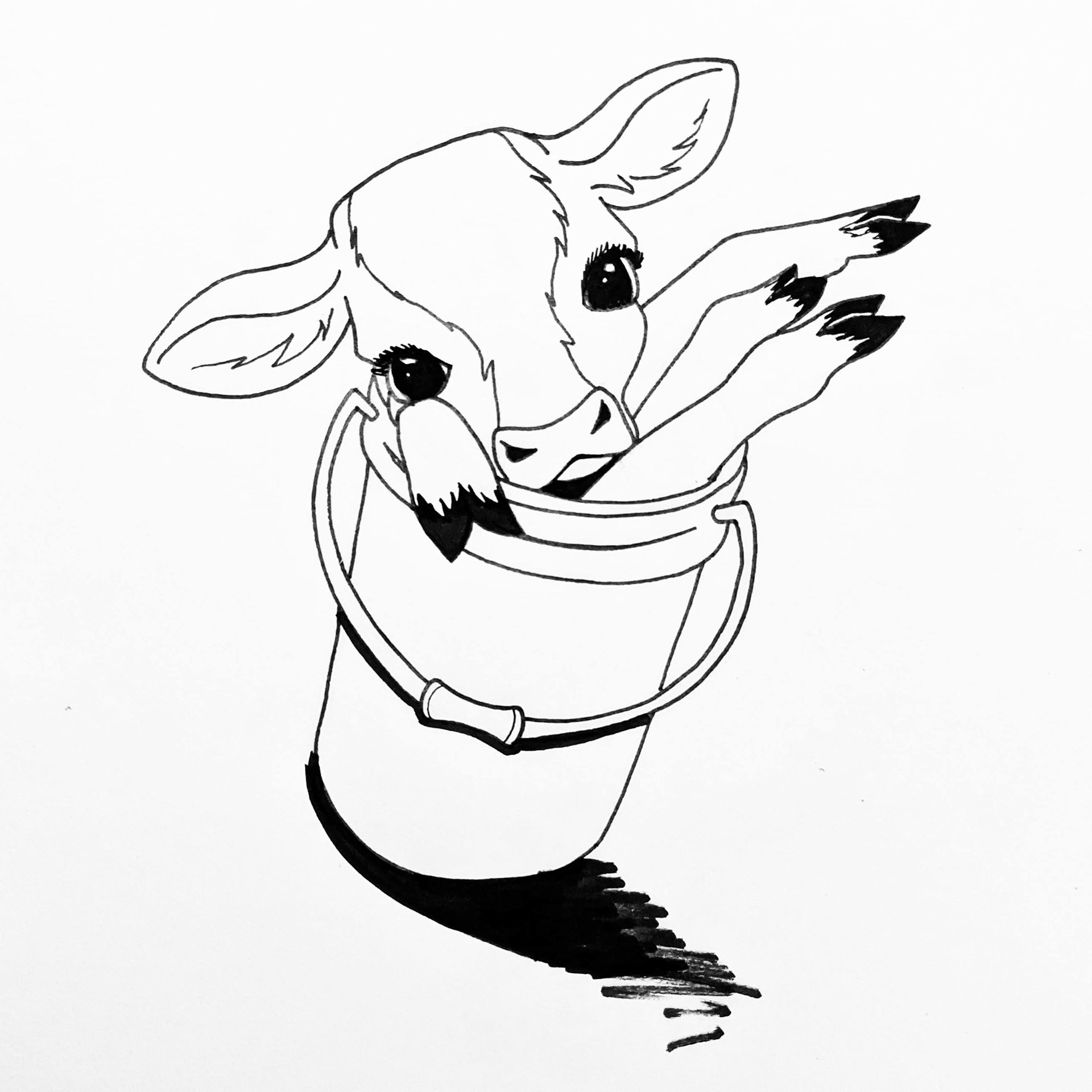 Calf in a Bucket