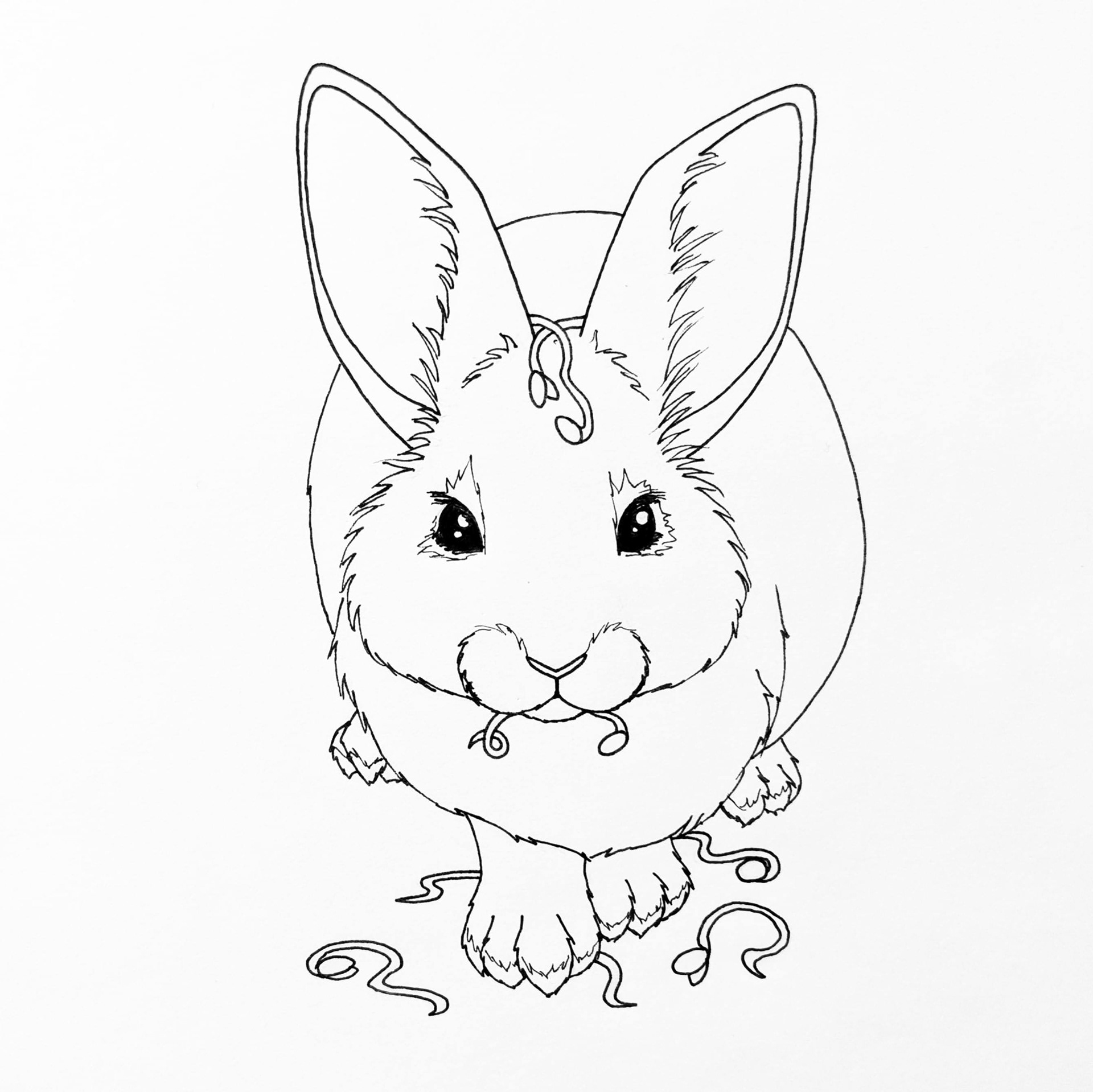 Rabbit Sprout