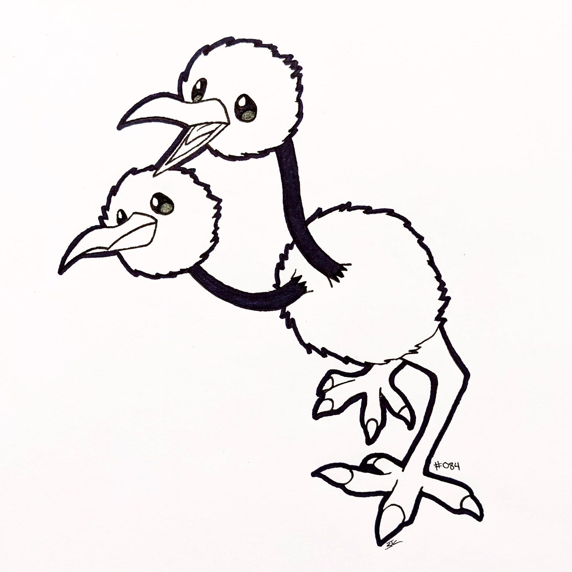 Pokemon Study : Doduo