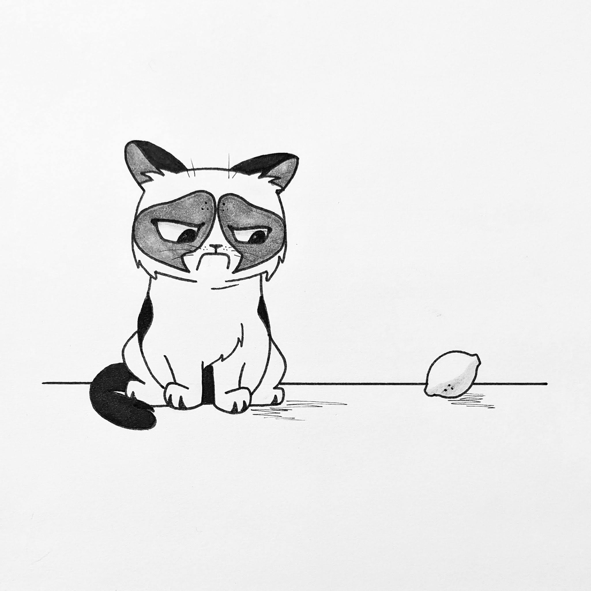Sour Grumpy Cat