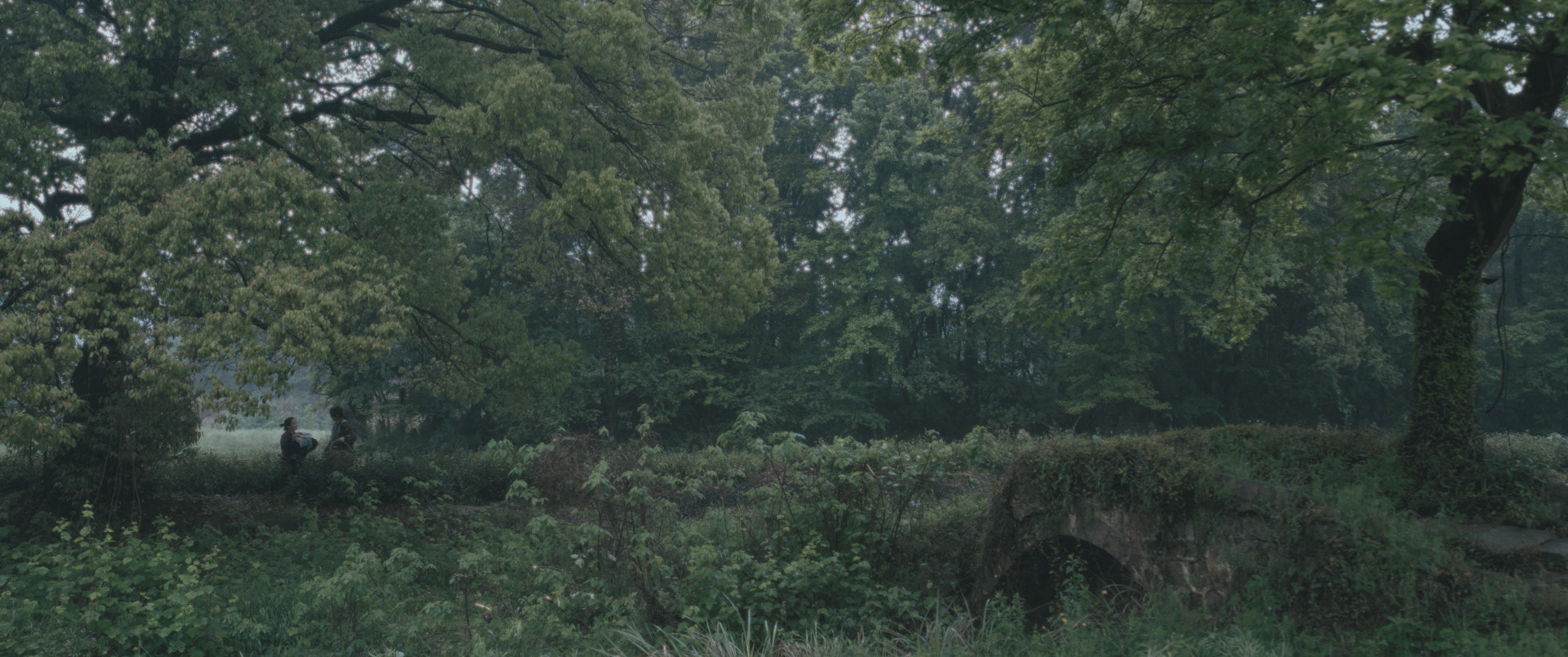 When the Wind Comes (2021) - still