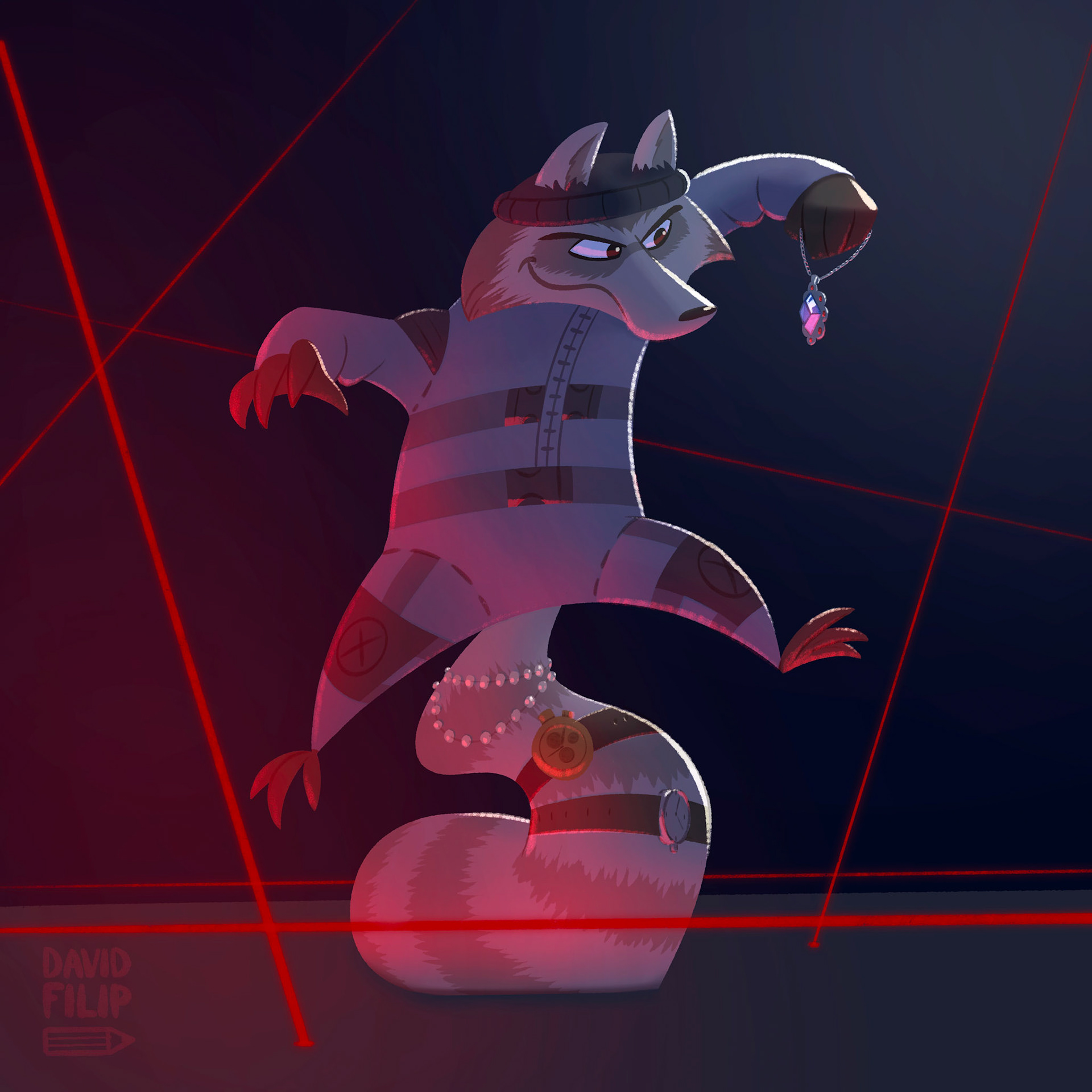 Raccoon Burglar