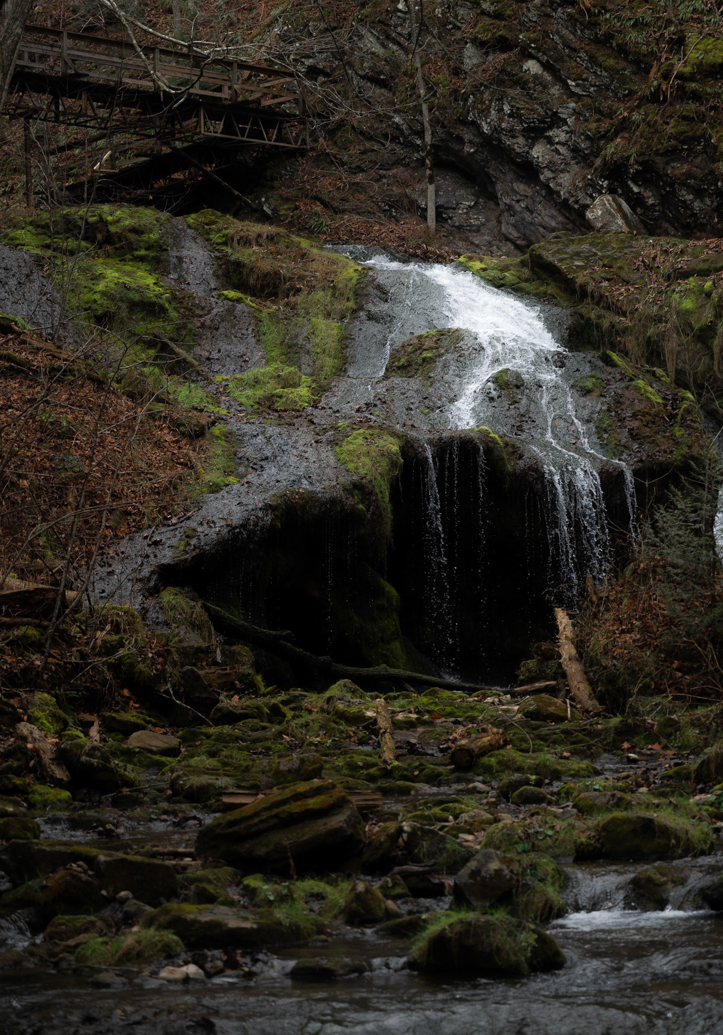 Cascades Gorge