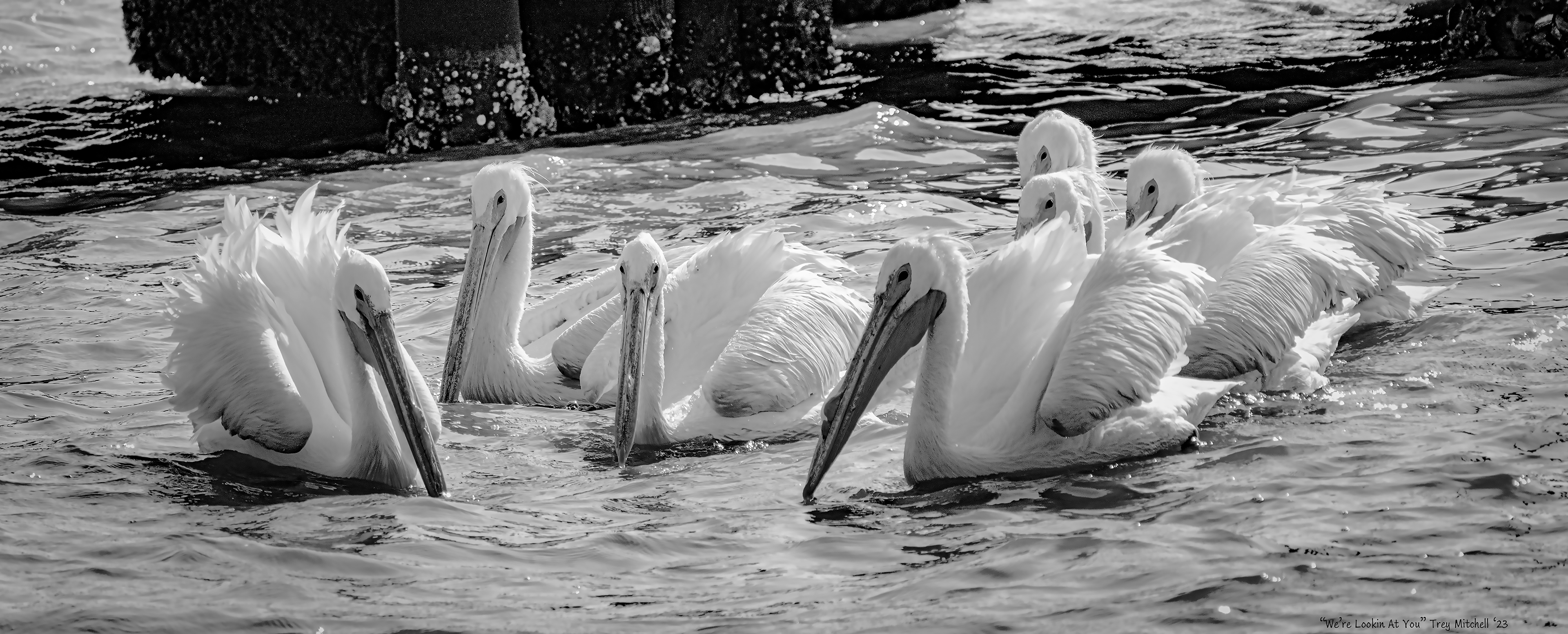 "We're Lookin at You"