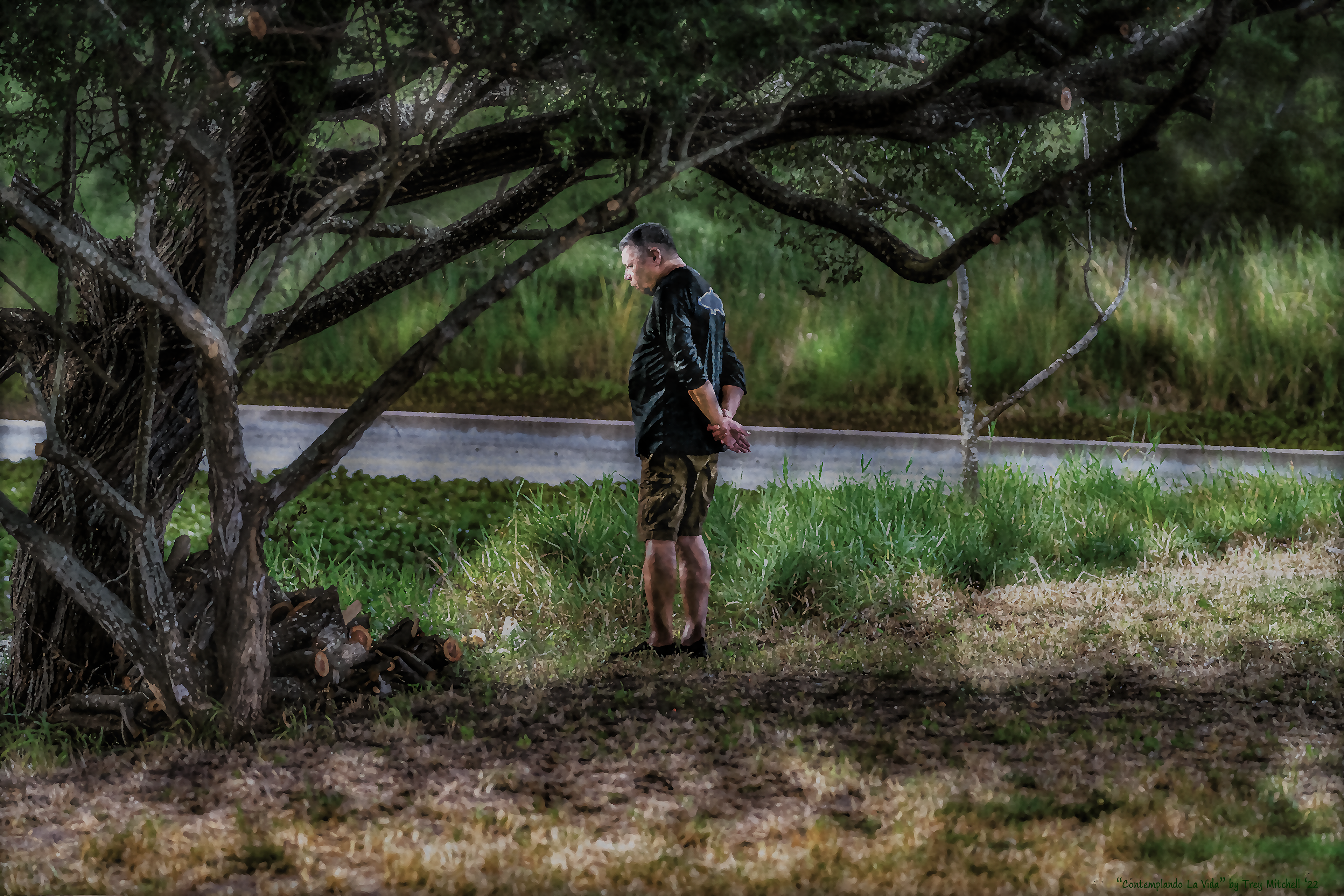 "Contemplando La Vida"