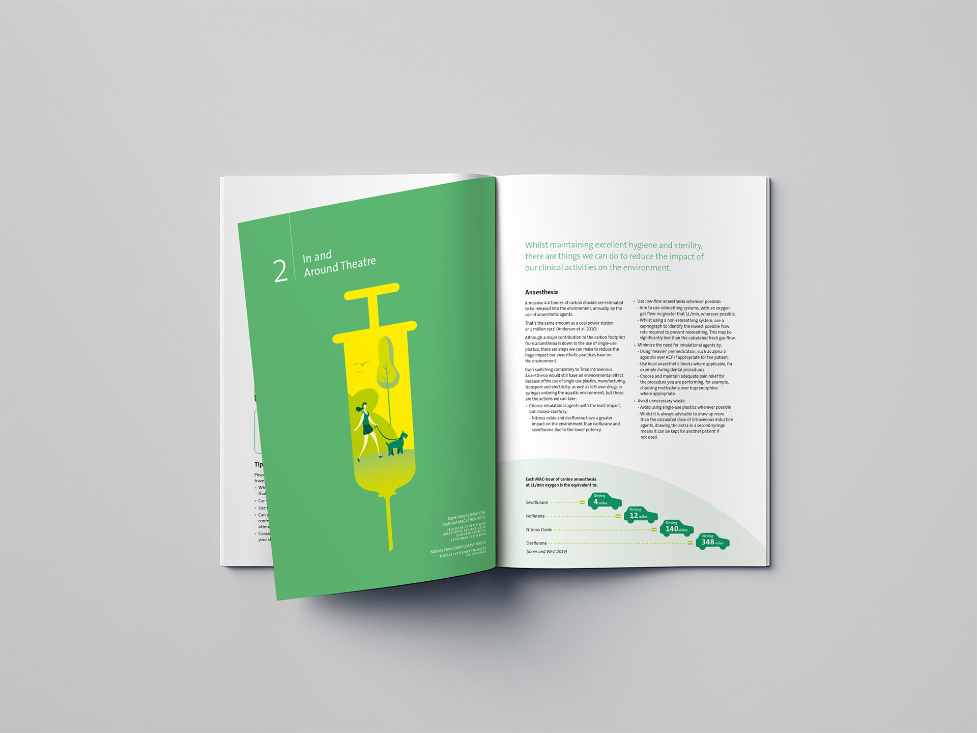 IVC Evidensia Digital Brochure Design