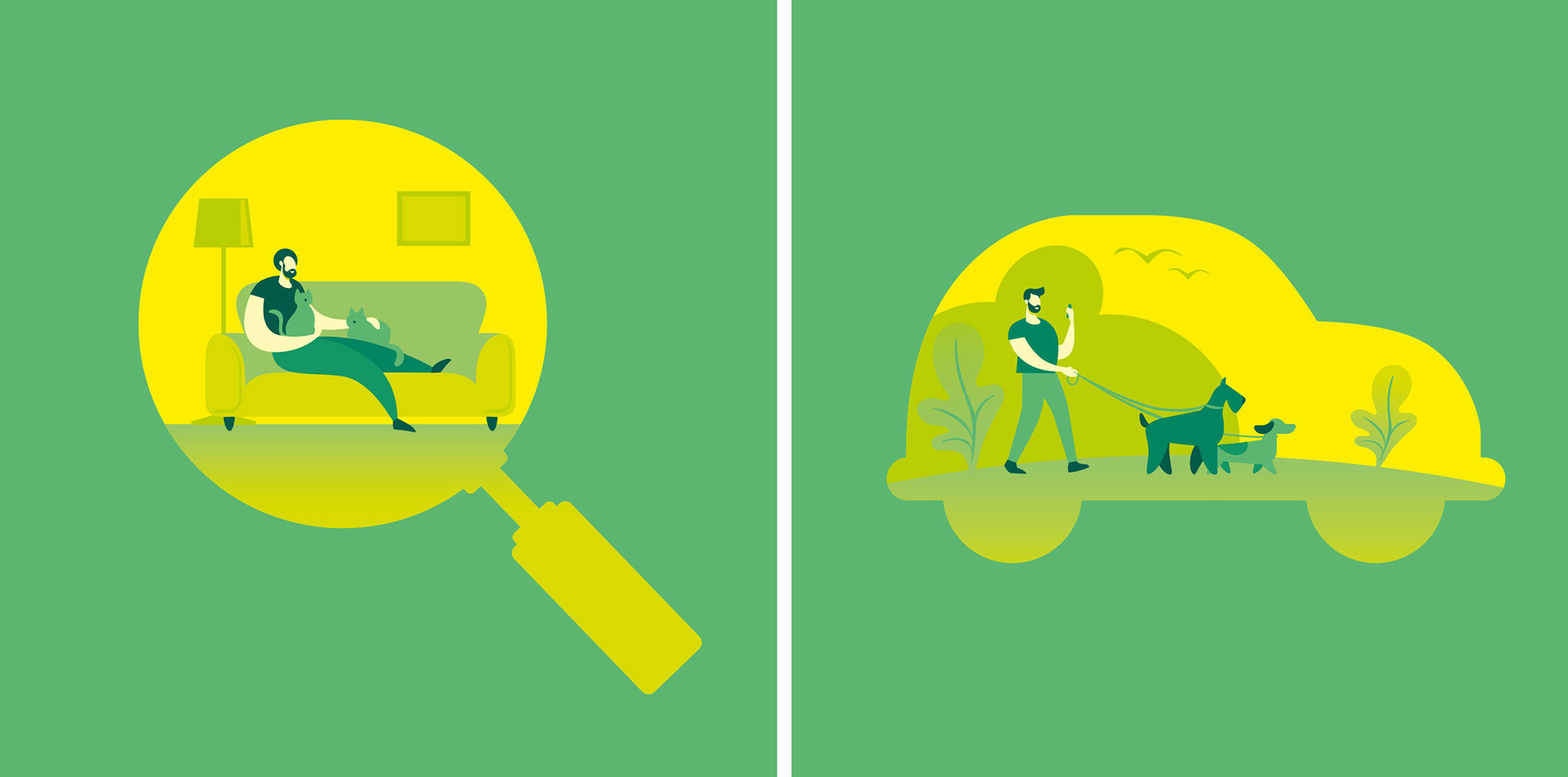 IVC Evidensia Brochure Illustrations
