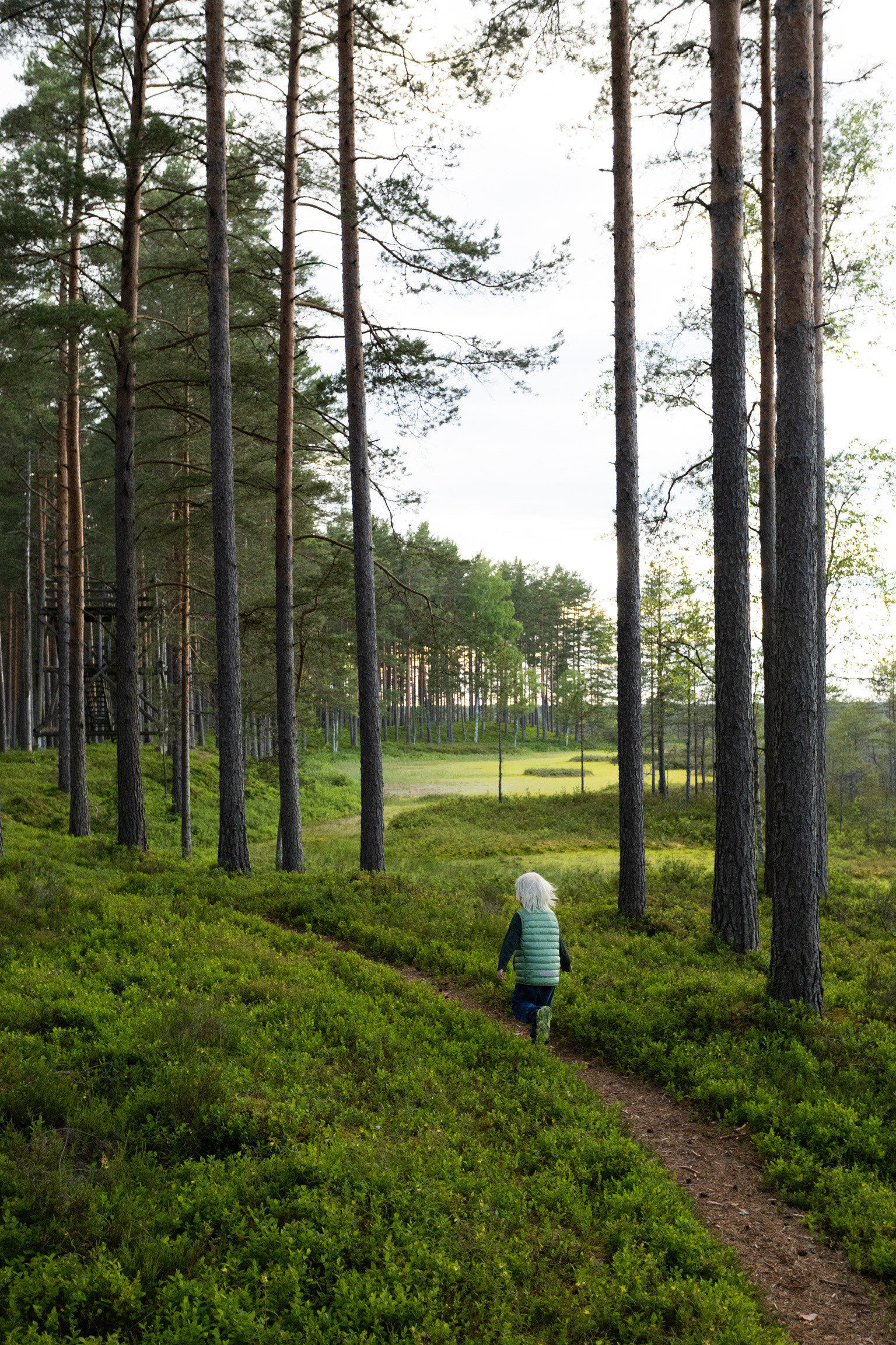 Pärnu, Tõstamaa