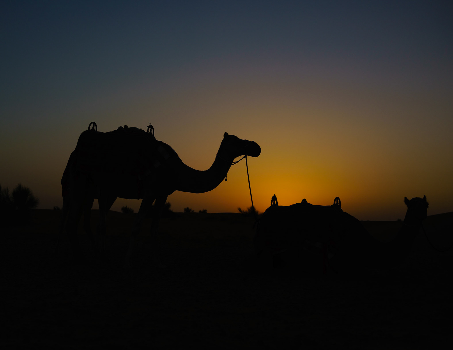 Sunset in desert