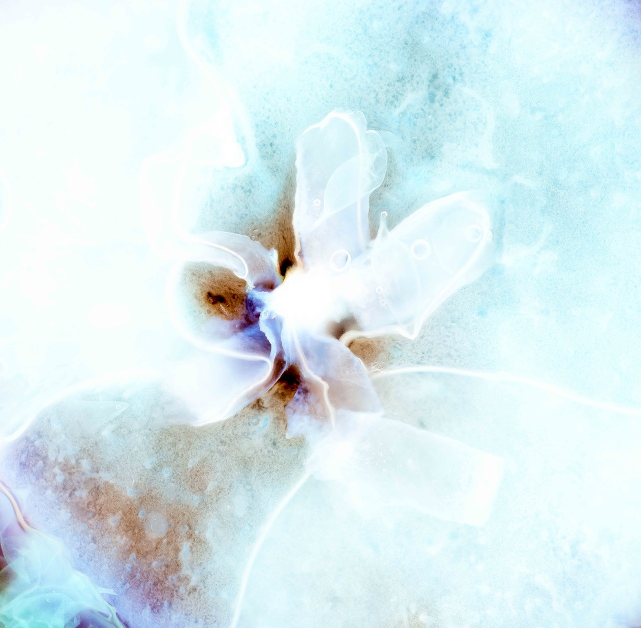 CRYO