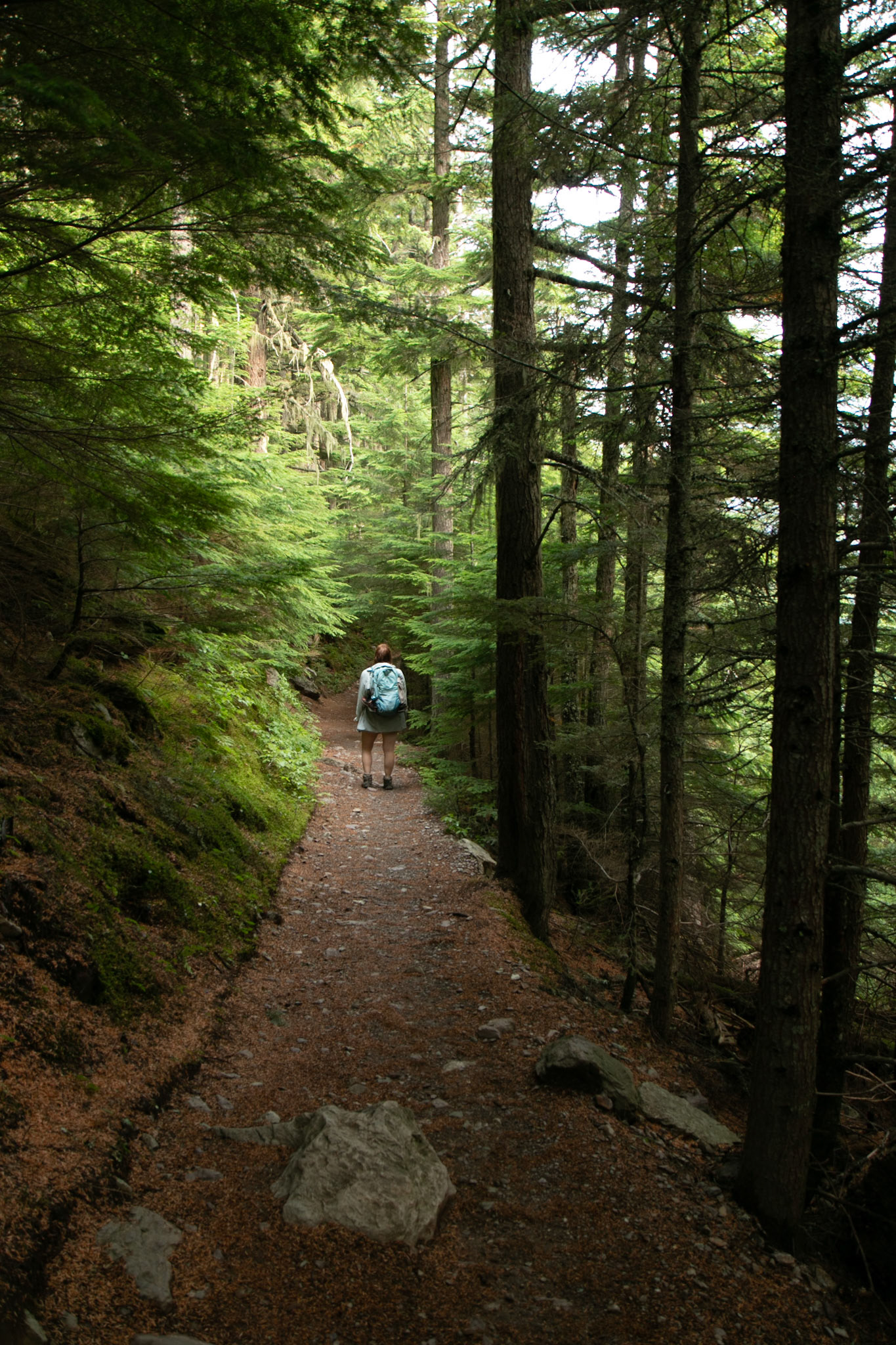 Glacier National Park